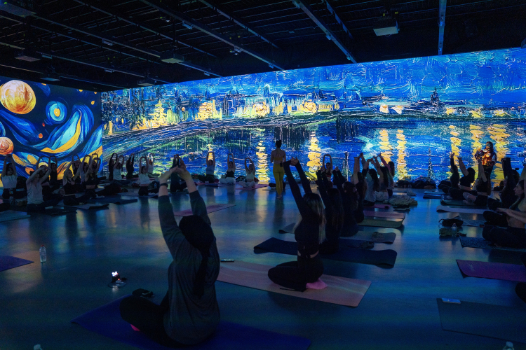 “Van Gogh: Işığında izinde” sergisi 22 Şubat’a kadar İstanbul DDM’de