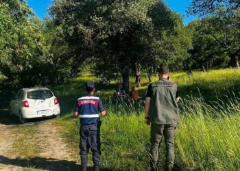 ORMAN YANGINLARIYLA MÜCADELE TEDBİRLERİ MASAYA YATIRILDI